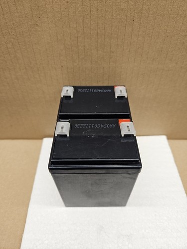 Two 12v razor - crazy, cart