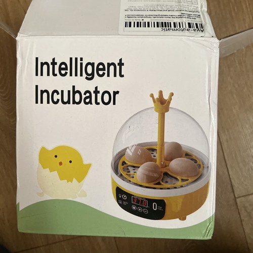 Egg incubator - egg,