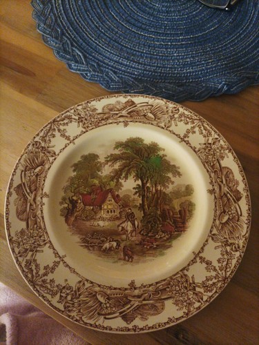Vintage royal staffordshire