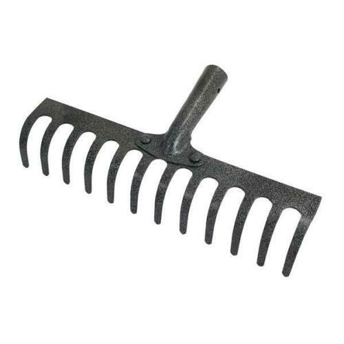 Tooth teeth replacement - teeth,