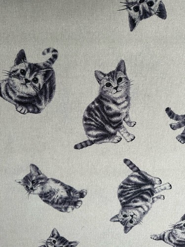 Fat quarter dobutsu cat kitten - cat,