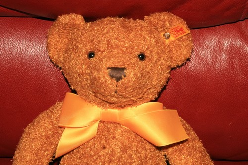 Steiff cosy year - cosy,