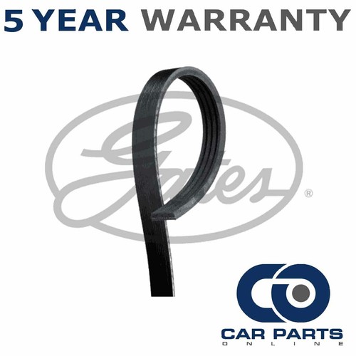 Gates ribbed belts - gates, fits