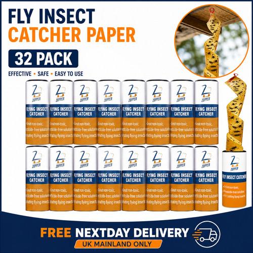 Fly insect catcher - insect,