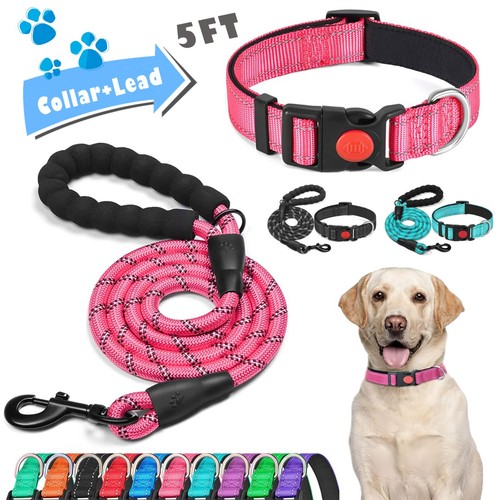 Heavy duty dog collar 5ft - collar,