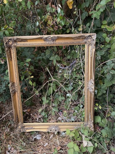 Large gold ornate 20x24 - large, 20x24”