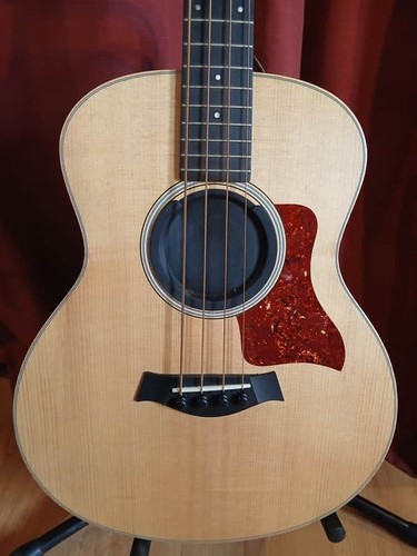 Taylor mini bass - taylor, mini-e