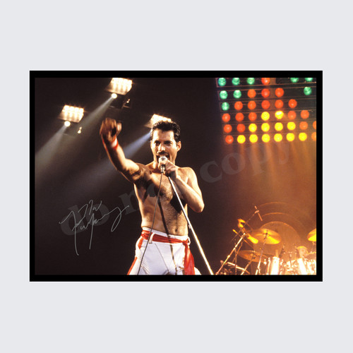 Freddie mercury queen signed - mercury,
