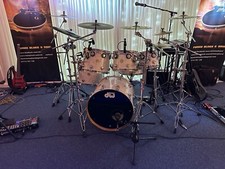 DW COLLECTORS GOLD BADGE