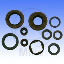 Engine Seal Set Cagiva Mito