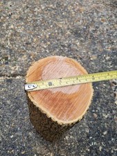 Green Unseasoned Box Wood Log