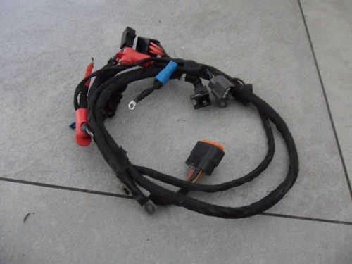 Rotax max evo - wiring,