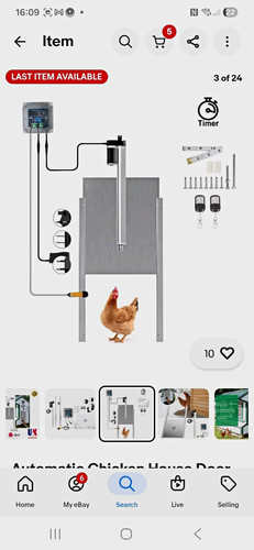 Automatic chicken coop door - chicken,