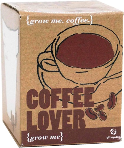 Grow your own coffee plant - your,