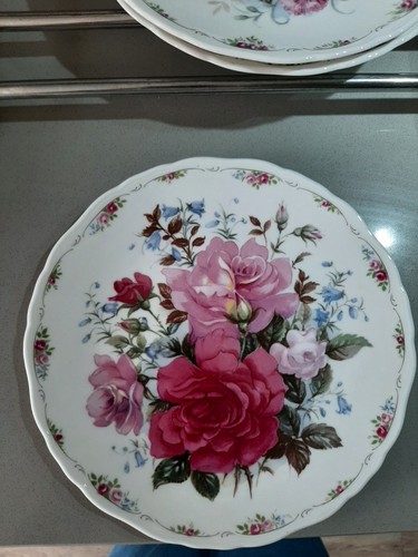 Royal albert the - rose, garden