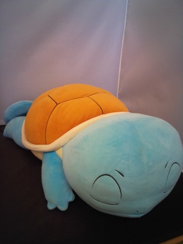 Pokémon sleeping squirtle - pokémon,