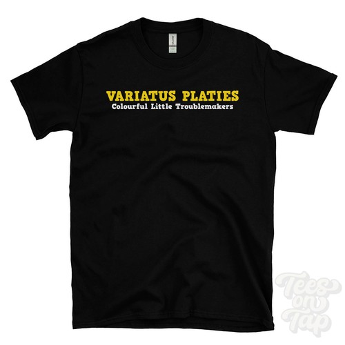Variatus platies colourful - variatus,