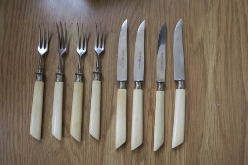Real bone set - real, 4x
