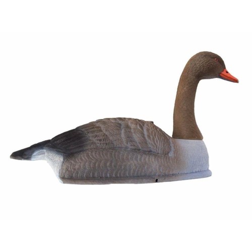 Flocked greylag goose - greylag, decoy