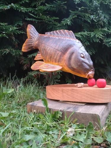 Carp fishing mirror - carp,