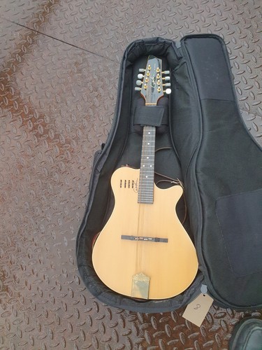 Godin acoustic electric - godin, acoustic-electric