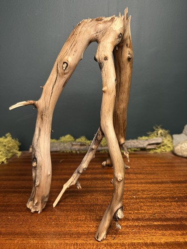Manzanita driftwood - manzanita,