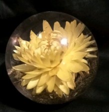 Hafod Grange 1997 Lucite