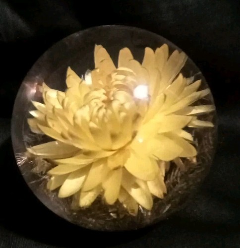 Hafod grange 1997 lucite - hafod,