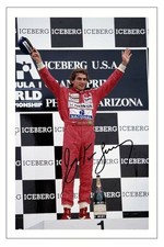 Ayrton Senna Formula One F1