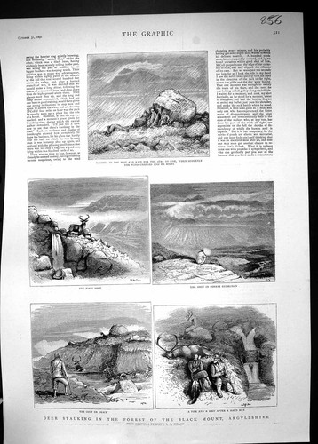 Old 1891 deer stalking forest - 1891,