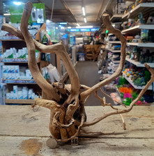 Red Moor Wood Root  Aquarium
