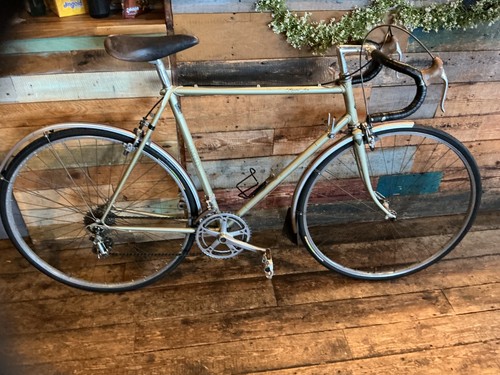 Raleigh record ace reynolds - raleigh,