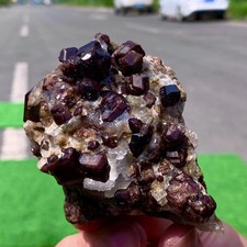 343G Natural Garnet Crystal Ore Mineral Crystal Specimen Museum Grad