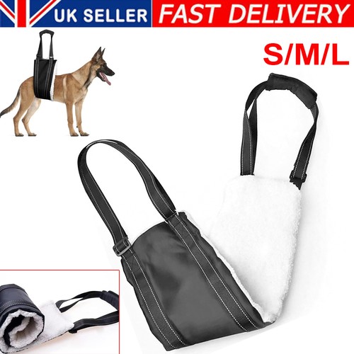 Large dogs mobility - dogs,