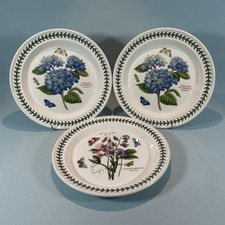 Portmeirion Botanic Garden