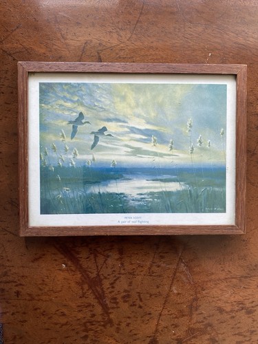 Small vintage print pair - vintage,