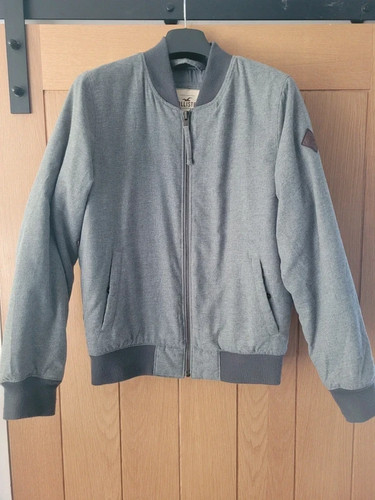 Hollister men grey - hollister,