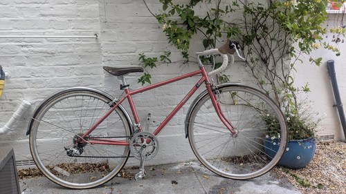 Bobbin scout bike ladies road - ladies,