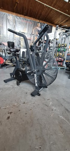 Rogue echo assault air - rogue,