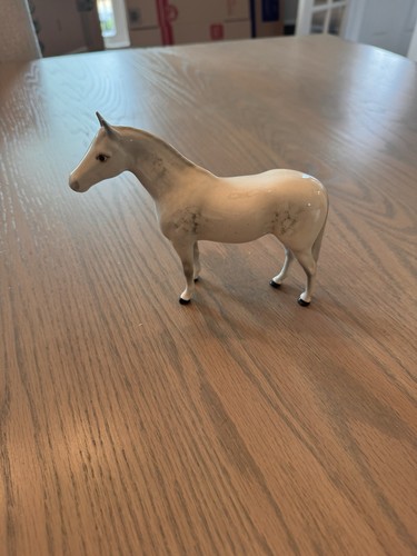 Grey dapple beswick standing - dapple,