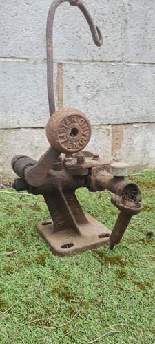 Lister sheep shearing machine - sheep,