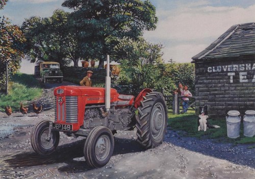 Massey ferguson tractor - massey-ferguson,