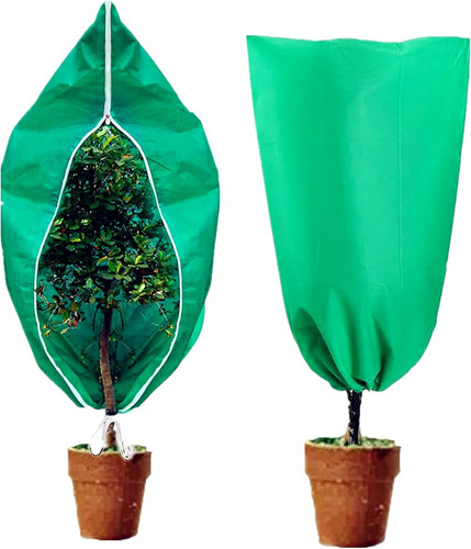 Winter plant covers with - winter,