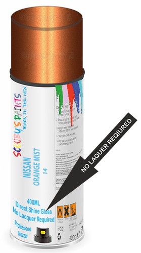 Aerosol spray paint - paint, nissan