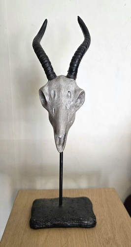 Antelope skull ornament - skull, 9