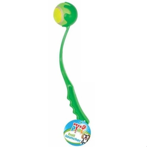 Pets play dog ball - pets,