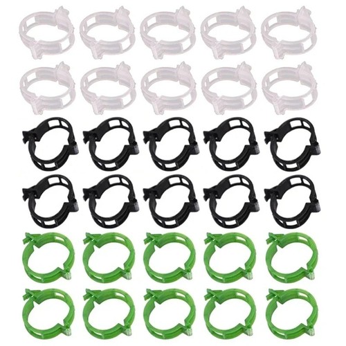 100x clip tomato and - 100x,
