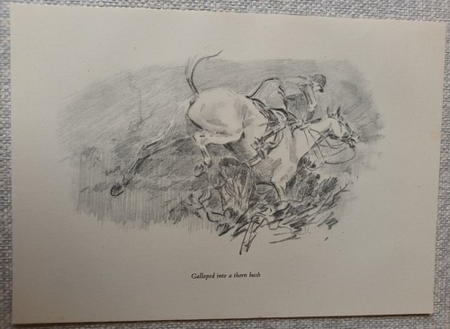 Michael lyne pencil sketch - lyne,
