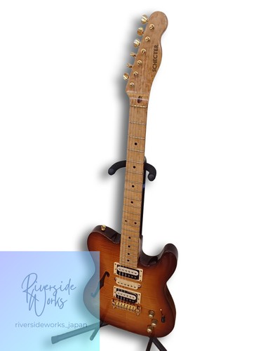 Schecter electric guitar - electric,