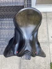 Equestrian Black Albion Legend